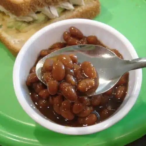 Spoonful of baked beans in a small white bowl.