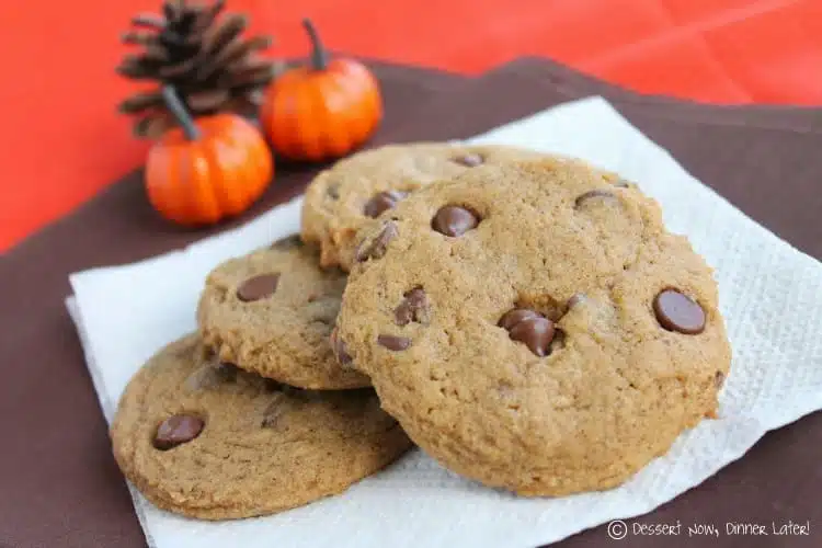 Chewy Pumpkin Chocolate Chip Cookies {NOT CAKEY} | Dessert Now Dinner Later