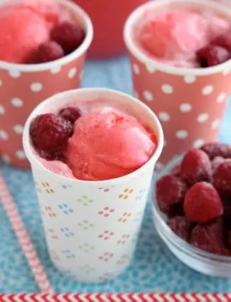 This Pink Sherbet Punch is only 2 ingredients for a fizzy, frothy drink! Add frozen fruit for a garnish and you've got a party punch great for baby showers, Valentine's Day, or summer gatherings!