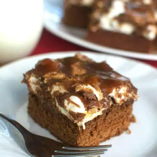 Nuts, marshmallows, and chocolate combine to create these homemade Rocky Road Brownies worth drooling over!