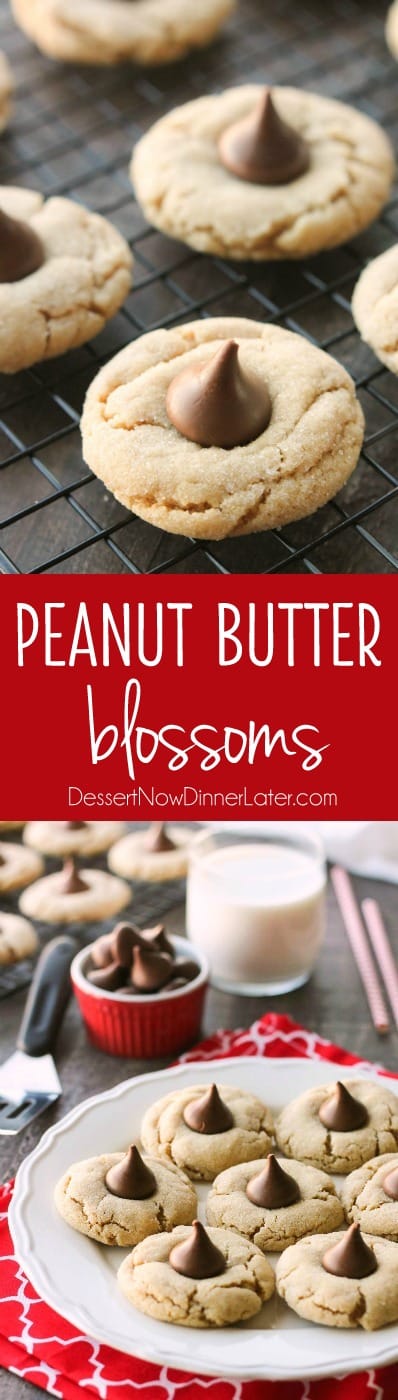 Peanut Butter Blossoms (+ more Christmas cookies!) | Dessert Now Dinner ...