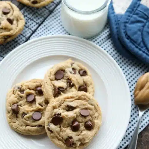 These totally irresistible Peanut Butter Chocolate Chip Cookies are chewy yet tender, and super easy to make! 