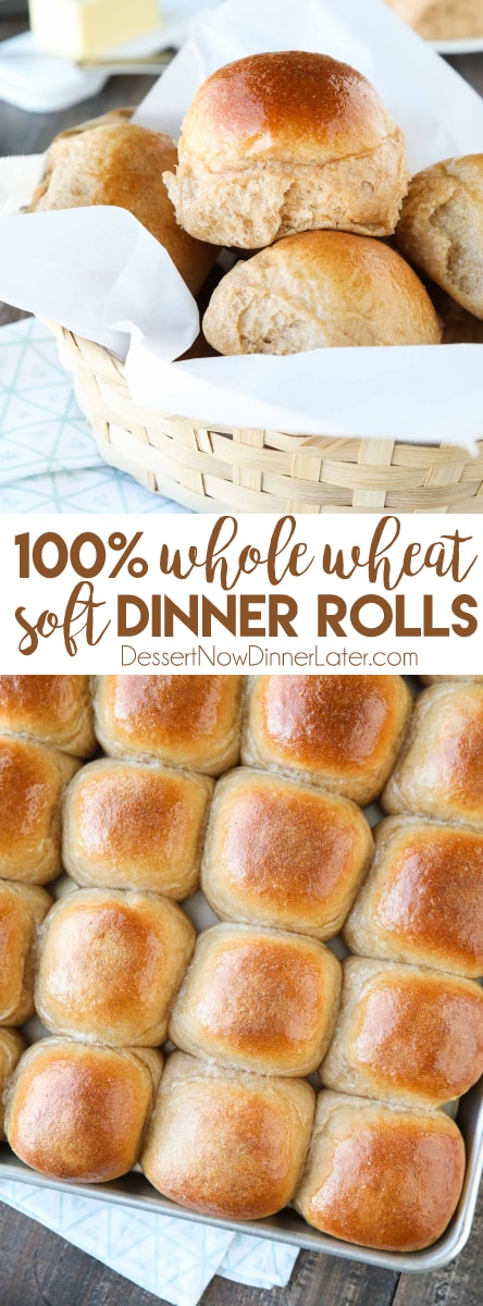 Whole Wheat Dinner Rolls | Dessert Now Dinner Later