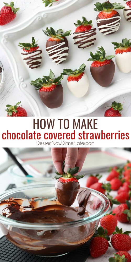 Chocolate Covered Strawberries | Dessert Now Dinner Later