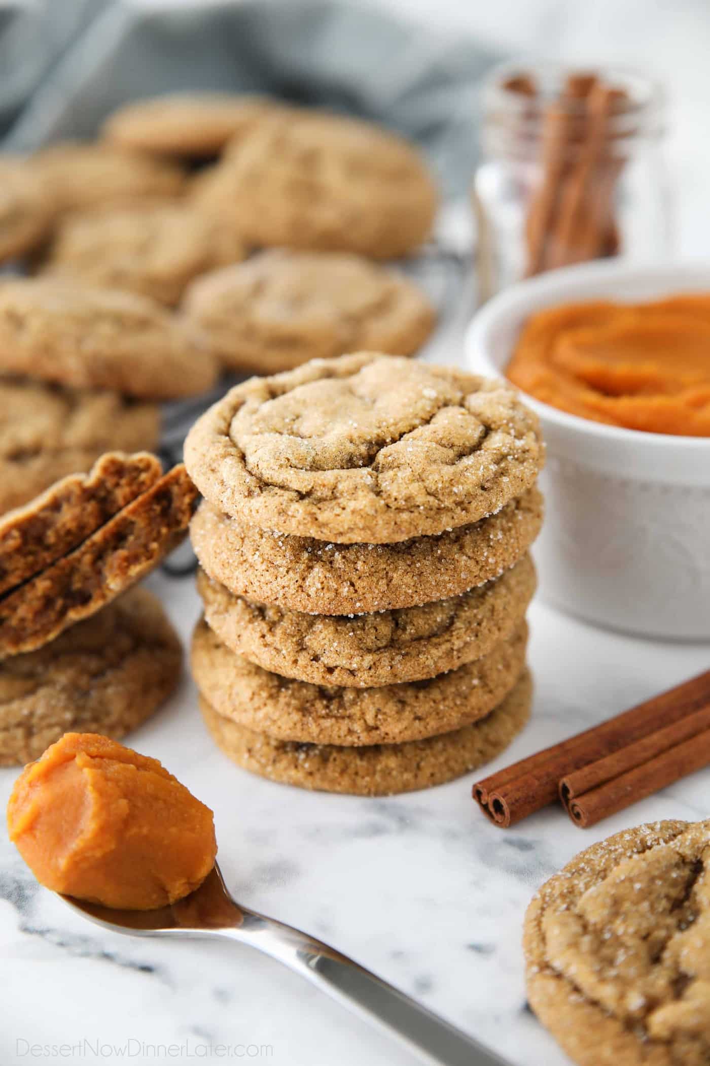 https://www.dessertnowdinnerlater.com/wp-content/uploads/2023/09/Pumpkin-Gingersnap-Cookies-1.jpg