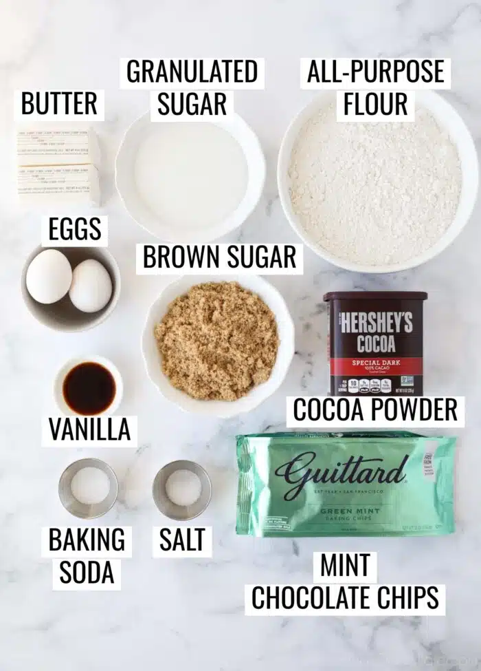 Labeled ingredients needed to make Chocolate Mint Chip Cookies.